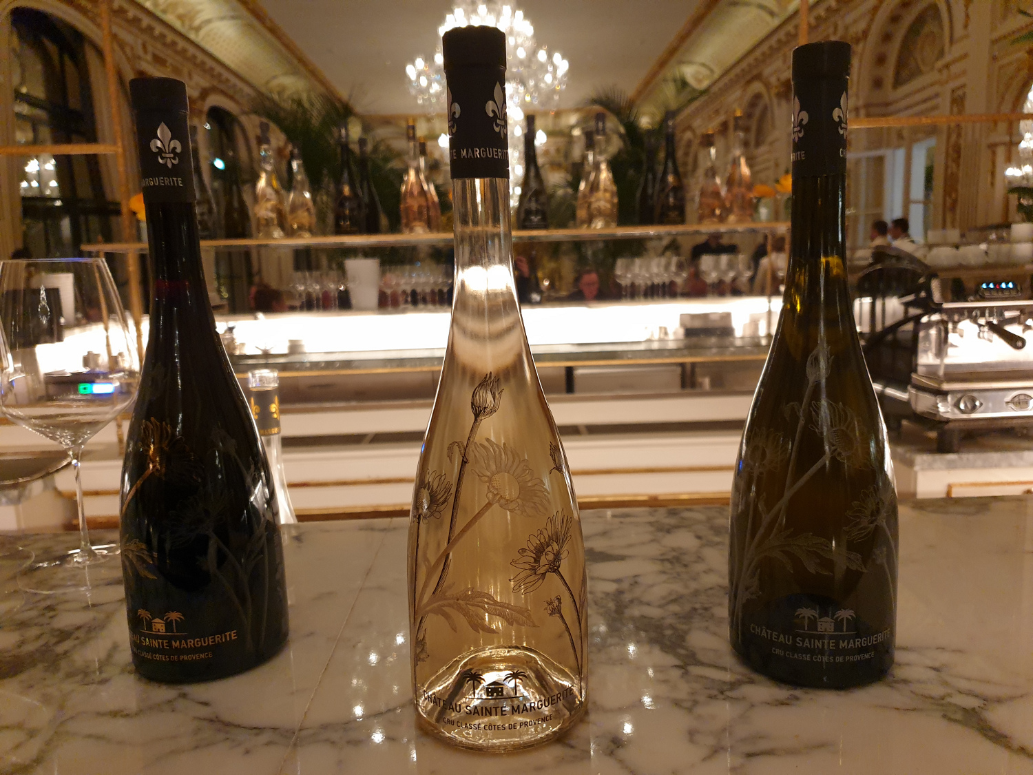 Marguerites en Provence